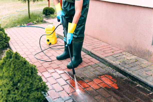 Best Roof Power Washing Services  in Rio, VA