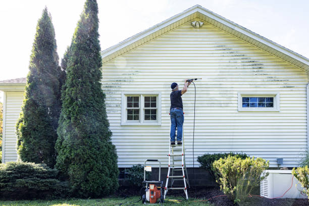 Roof Power Washing Services in Rio, VA